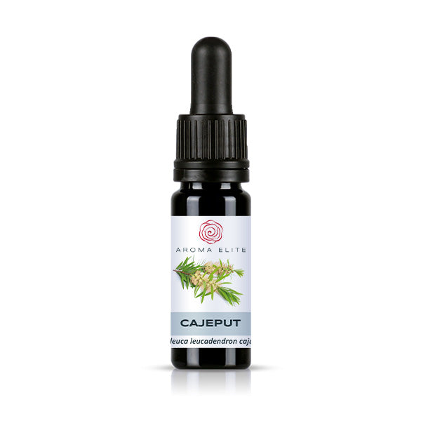 Aroma Elite Cajeput Ätherisches Öl 10 ml
