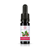 Aroma Elite Wintergrün ätherisches Öl 10 ml