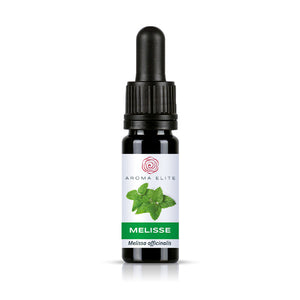 Aroma Elite Melisse ätherisches Öl 10 ml