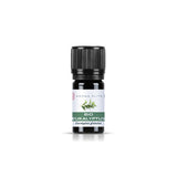 Aroma Elite Eukalyptus (globulus) Bio ätherisches Öl 5ml