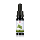 Aroma Elite Wacholderholz Ätherisches Öl 10 ml