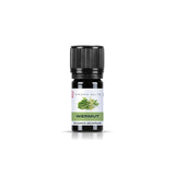 Aroma Elite Wermut ätherisches Öl 5 ml