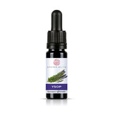 Aroma Elite Ysop Bio  ätherisches Öl 10 ml