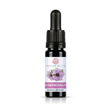 Aroma Elite Eisenkraut ätherisches Öl 10 ml