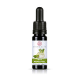 Aroma Elite Fenchel Bio ätherisches Öl 10 ml