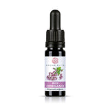 Aroma Elite Oregano Bio ätherisches Öl 10 ml